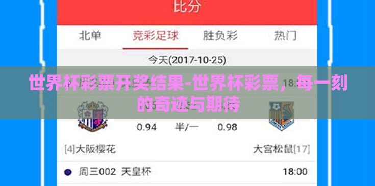 世界杯彩票开奖结果-世界杯彩票，每一刻的奇迹与期待