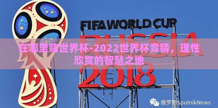 在哪里赌世界杯-2022世界杯竞猜，理性欣赏的智慧之地