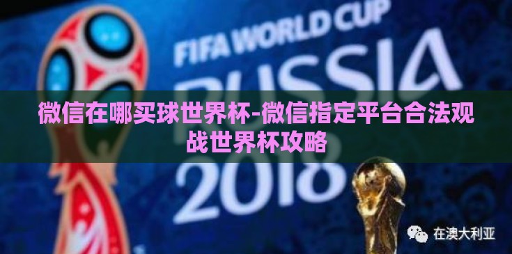 微信在哪买球世界杯-微信指定平台合法观战世界杯攻略