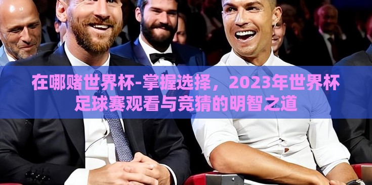 在哪赌世界杯-掌握选择，2023年世界杯足球赛观看与竞猜的明智之道