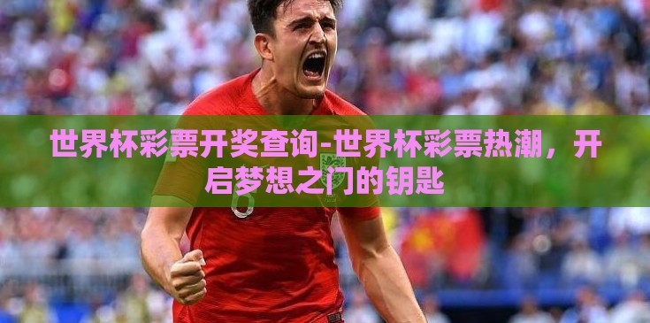 世界杯彩票开奖查询-世界杯彩票热潮，开启梦想之门的钥匙