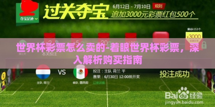 世界杯彩票怎么卖的-着眼世界杯彩票，深入解析购买指南
