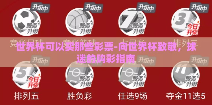世界杯可以买那些彩票-向世界杯致敬，球迷的购彩指南