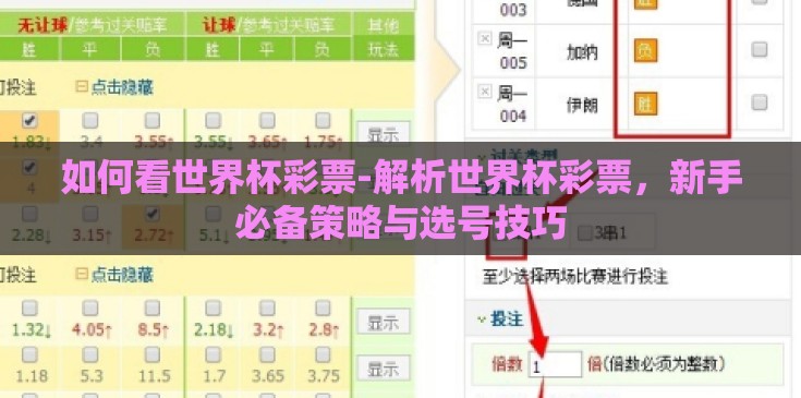 如何看世界杯彩票-解析世界杯彩票,新手必备策略与选号技巧 如何看世界杯彩票-解析世界杯彩票,新手必备策略与选号技巧