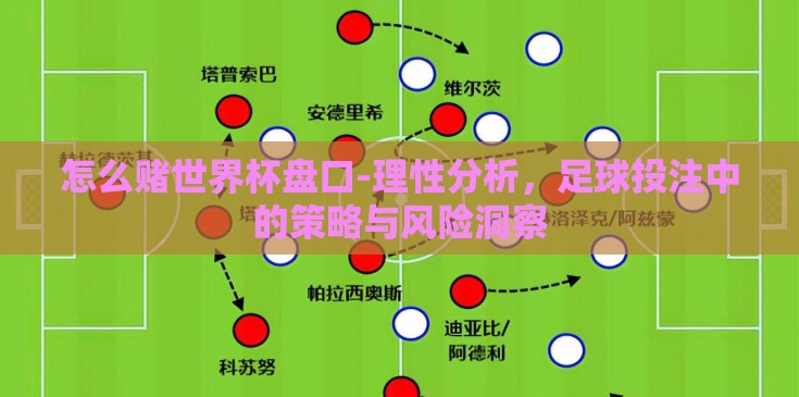 怎么赌世界杯盘口-理性分析，足球投注中的策略与风险洞察
