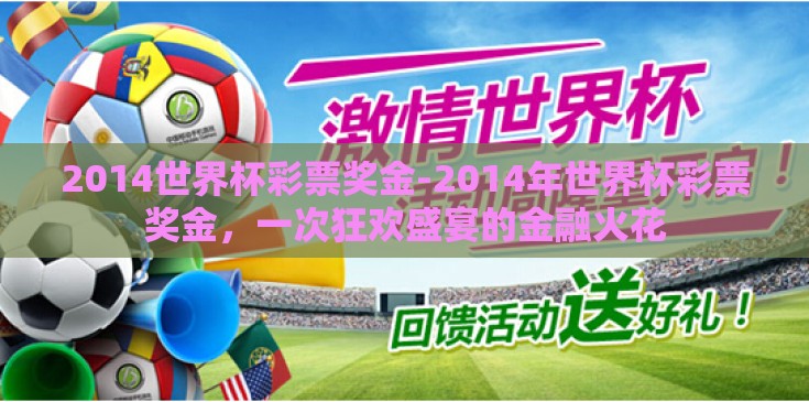 2014世界杯彩票奖金-2014年世界杯彩票奖金，一次狂欢盛宴的金融火花