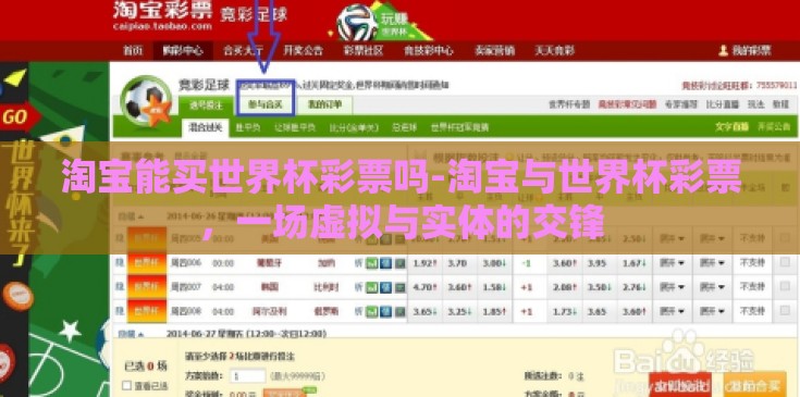 淘宝能买世界杯彩票吗-淘宝与世界杯彩票，一场虚拟与实体的交锋