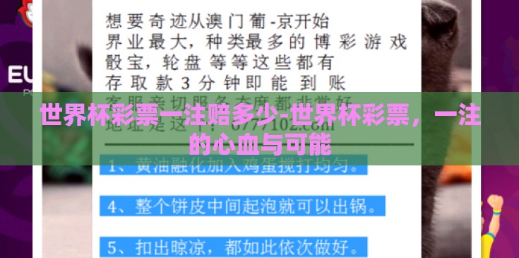 世界杯彩票一注赔多少-世界杯彩票，一注的心血与可能