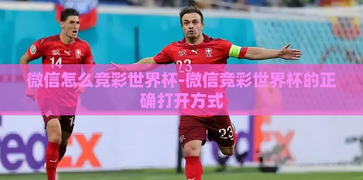 微信怎么竞彩世界杯-微信竞彩世界杯的正确打开方式