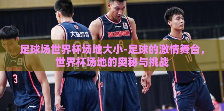 足球场世界杯场地大小-足球的激情舞台，世界杯场地的奥秘与挑战